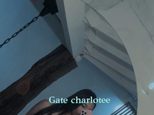 Gate_charlotee