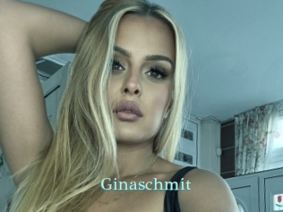 Ginaschmit
