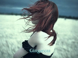 Gingercat