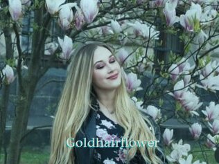 Goldhairflower
