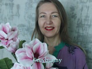 Greybunny