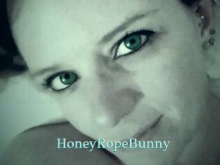 HoneyRopeBunny
