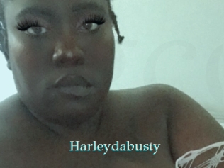 Harleydabusty