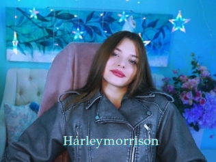 Harleymorrison