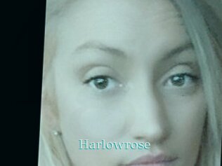 Harlowrose