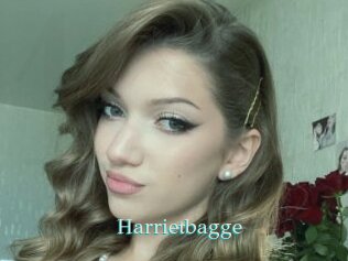 Harrietbagge