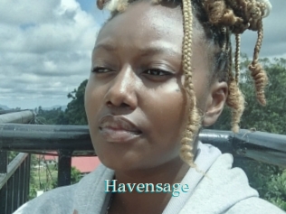 Havensage