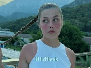 Hildfleek