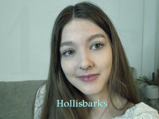 Hollisbarks