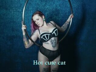 Hot_cute_cat