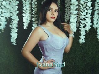 IvanaBird