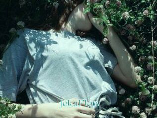 JekaFlow