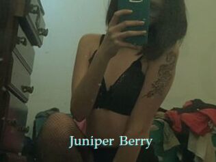 Juniper_Berry