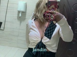 jandin 1 grosse cochonne
