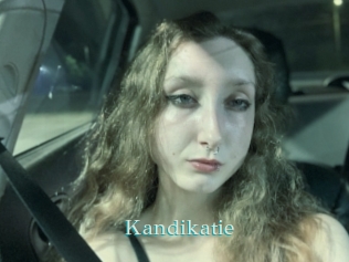 Kandikatie