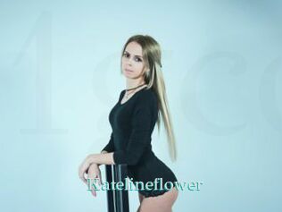 Katelineflower