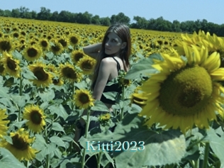 Kitti2023