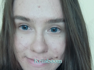 Kriisboom