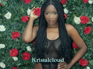 kristalcloud 1 grosse cochonne