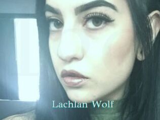 Lachlan_Wolf