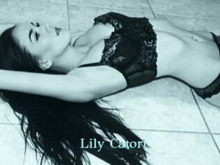 Lily_Catori