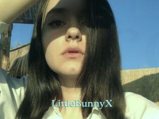 LittleBunnyX