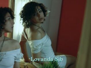 Lovanda_Sib