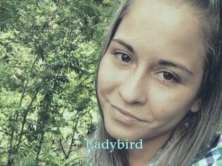 Ladybird