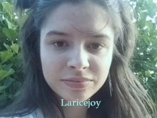 Laricejoy