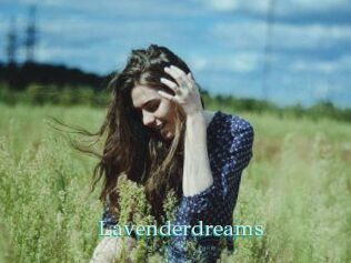 Lavenderdreams