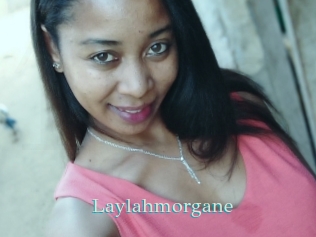 Laylahmorgane