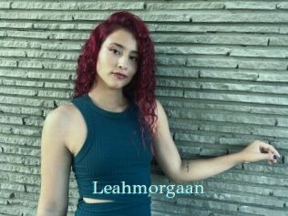 Leahmorgaan