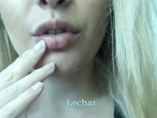 lechat 1 grosse cochonne