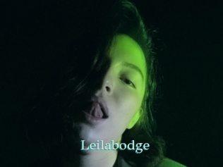 Leilabodge
