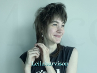 Leilaharvison