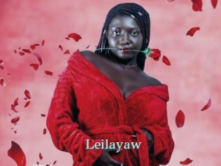 Leilayaw