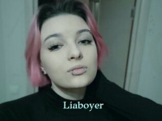 Liaboyer