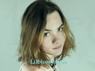 Lilblossompet