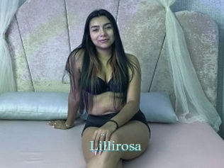 Lillirosa