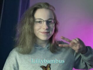 Lillybambus