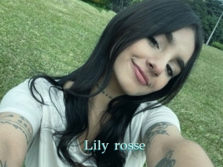 Lily_rosse