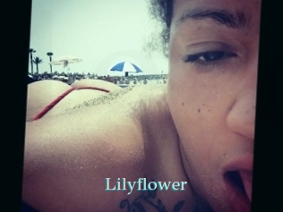 Lilyflower
