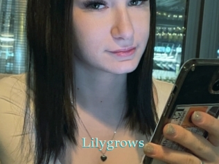 Lilygrows