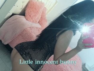 Little_innocent_bunny