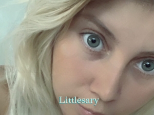 Littlesary