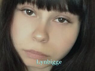 Lynbigge