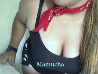 Mamucha