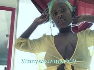Minnysotawinter500