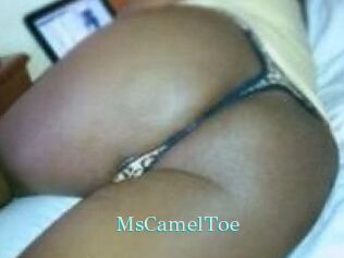 MsCamelToe