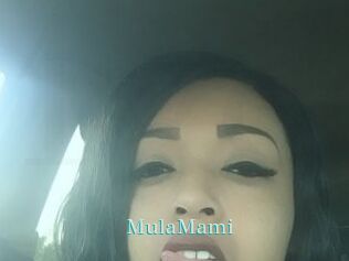 MulaMami
